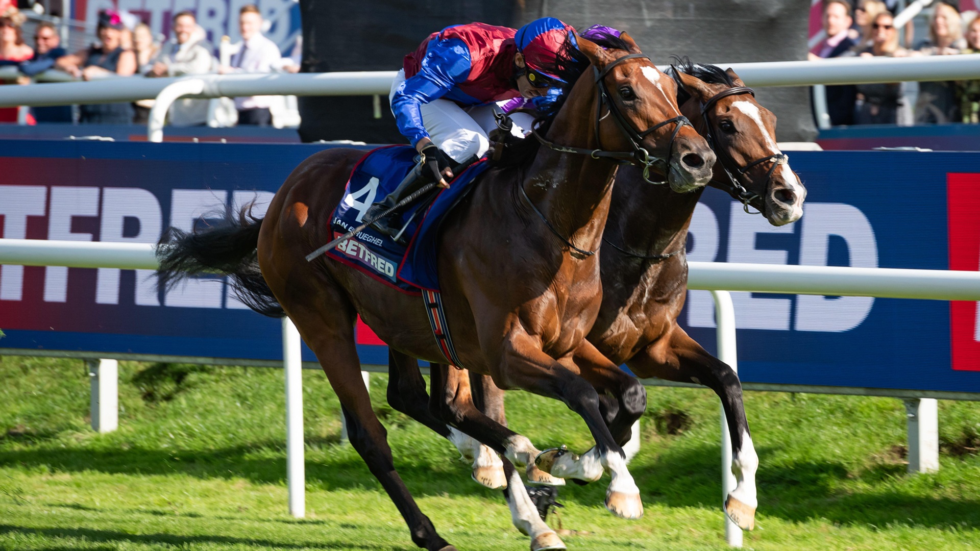 Jan Brueghel is expected to be the one to beat in the Ascot showpiece.