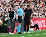 Fulham Daily 20260815