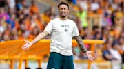 Cesar Peixoto's Wolves have a win, a loss and a draw in their last three Championship matches.