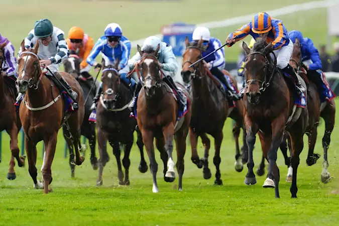 Newmarket
