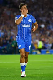 Brighton Daily 20260829