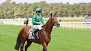 Arc winner Daryz is going for glory in the day two feature race at Royal Ascot