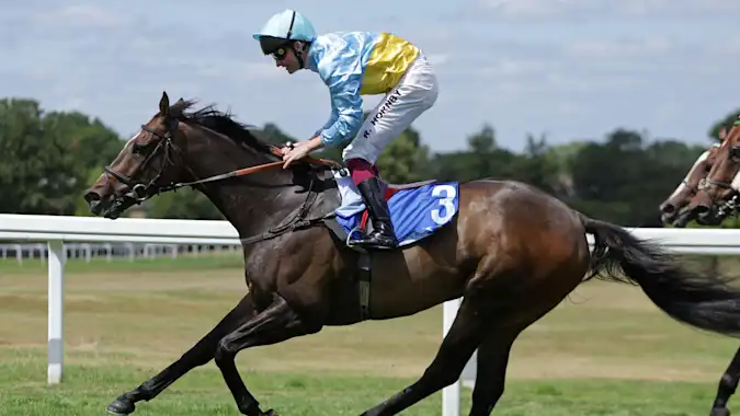 Rumstar is expected to challenge for victory in the King George Qatar Stakes at Goodwood on Friday.