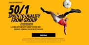 Betfair 50/1 Spain or France to Qualify for R32