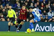 Brighton Daily 20260122