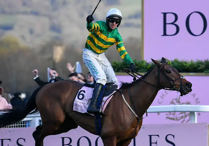Inothewayurthinkin romped to Cheltenham Gold Cup glory last season for Mark Walsh and trainer Gavin Cromwell