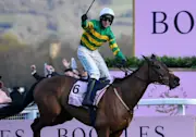 Inothewayurthinkin romped to Cheltenham Gold Cup glory last season for Mark Walsh and trainer Gavin Cromwell
