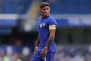 Enzo Fernández, Chelsea
