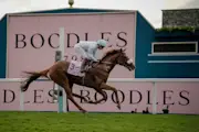 Boodles May Festival