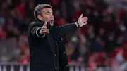 Fenerbahce vs Benfica predictions: Eagles to soar above the Canaries