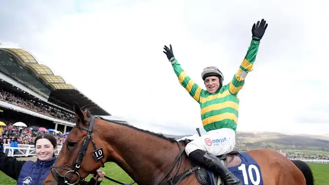 The New Lion and rider Harry Skelton have already sampled success at the Cheltenham Festival