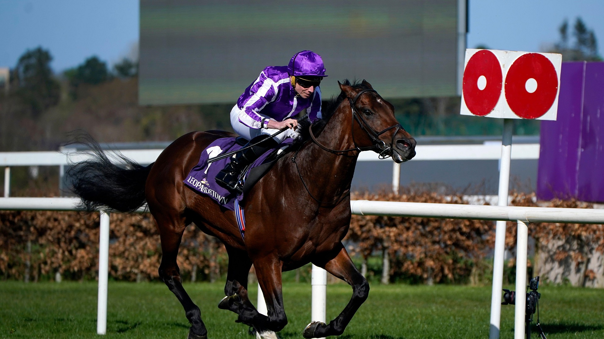 Irish Champion Stakes predictions: Delacroix to land Leopardstown prize