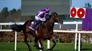 Irish Champion Stakes predictions: Delacroix to land Leopardstown prize